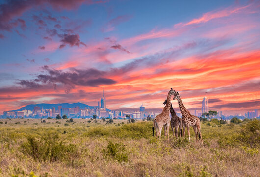Sunrise over Nairobi